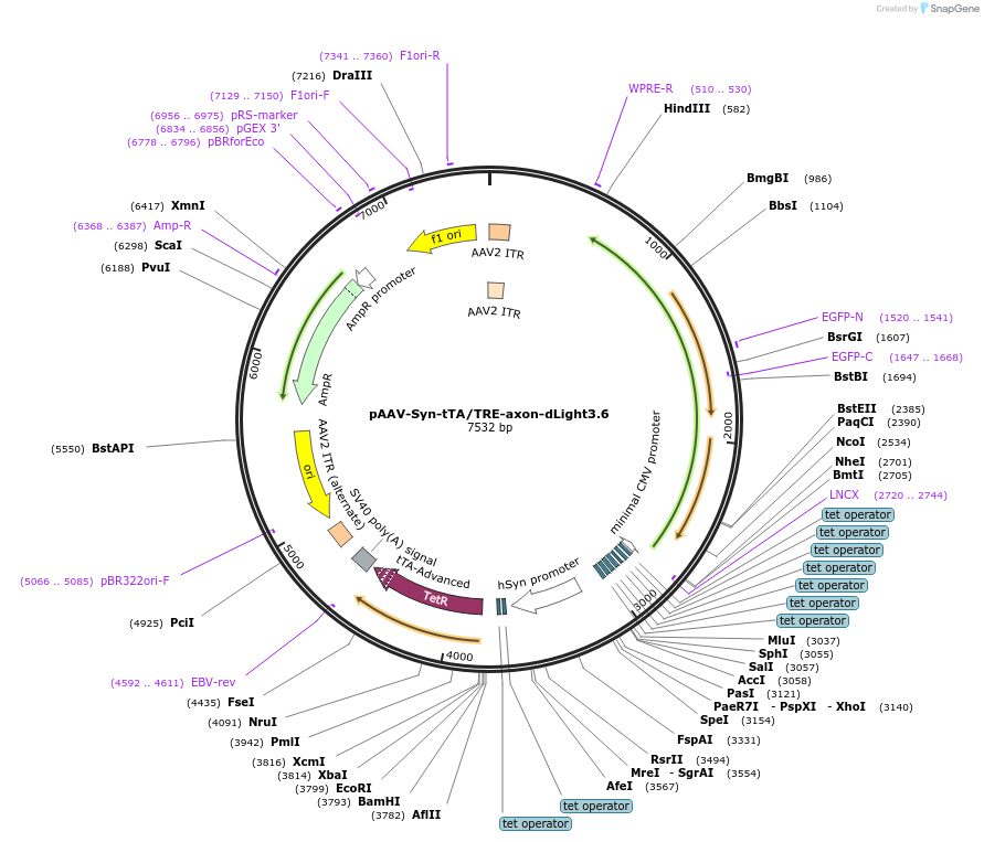 520412_map