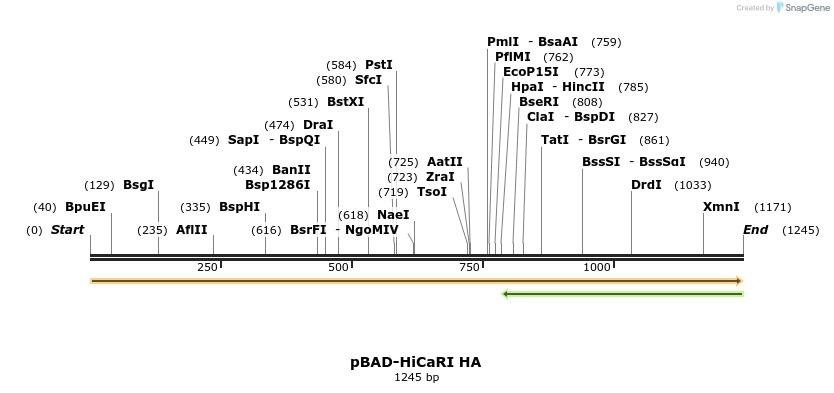 520495_map