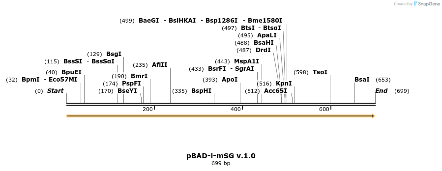 520496_map