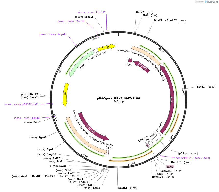 52051_map