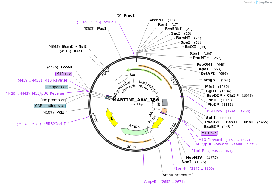 520524_map