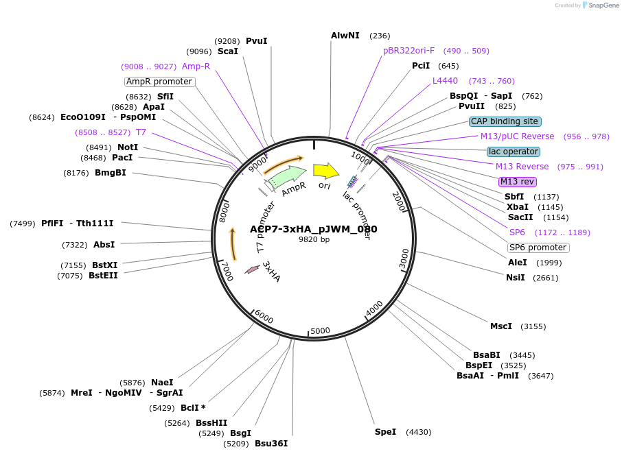 520562_map