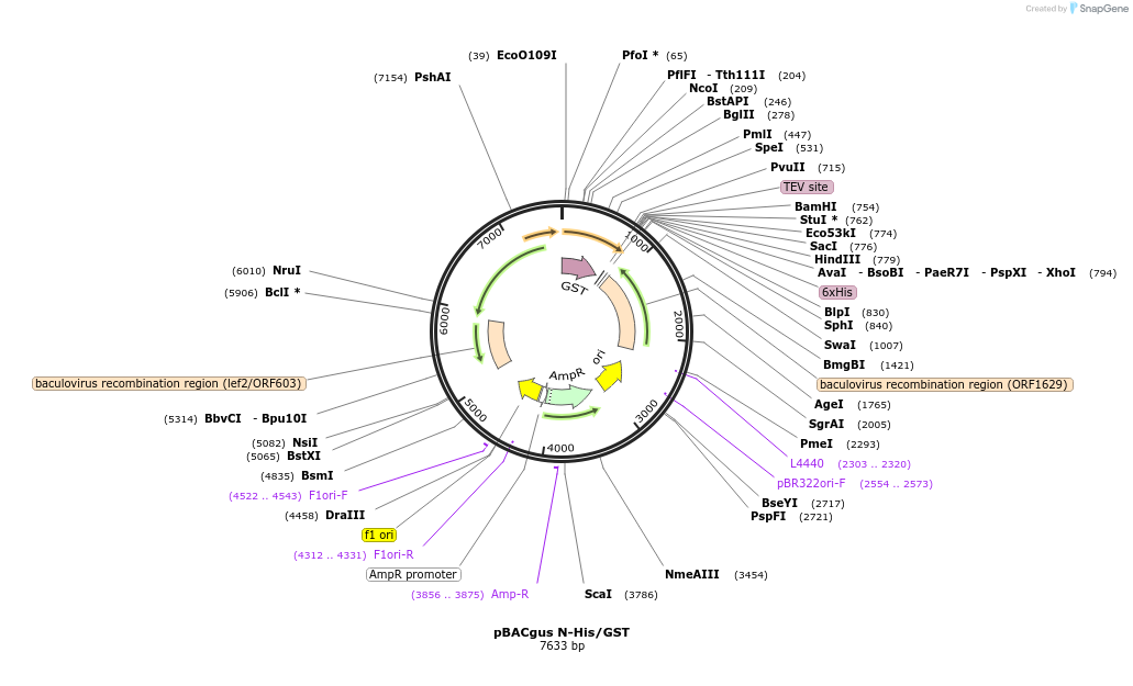52076_map