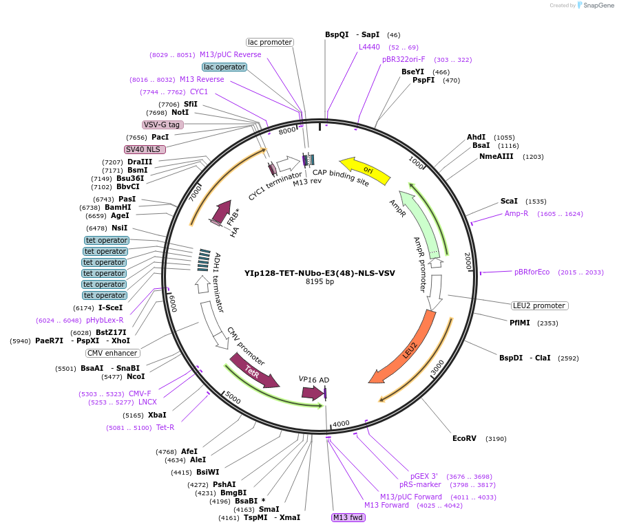 520915_map