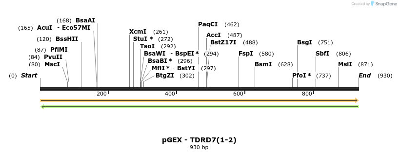 520935_map