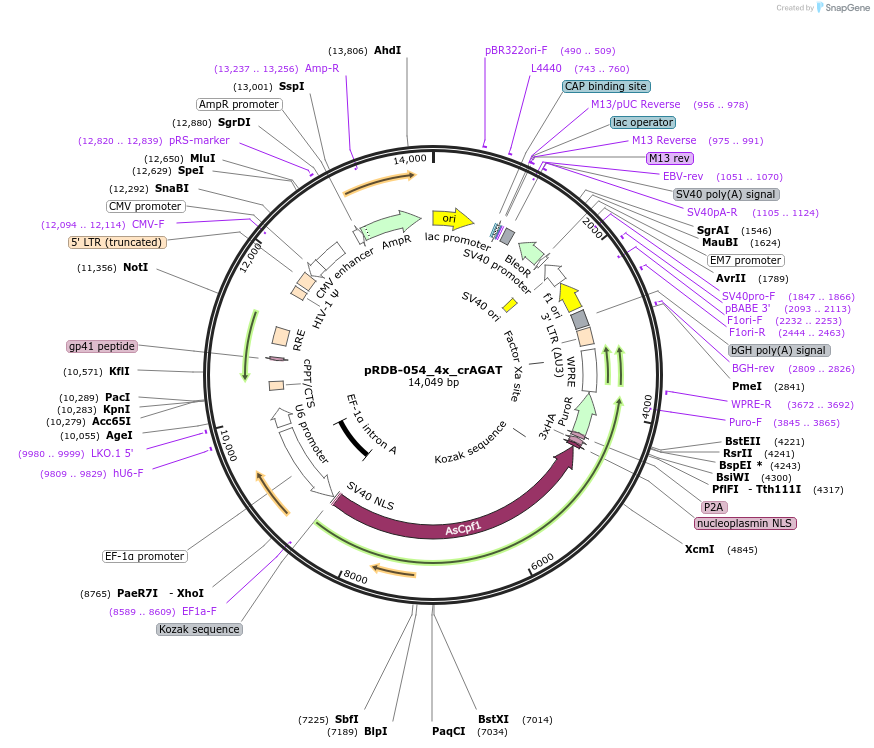 521015_map