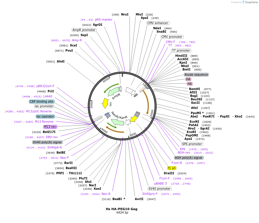521131_map