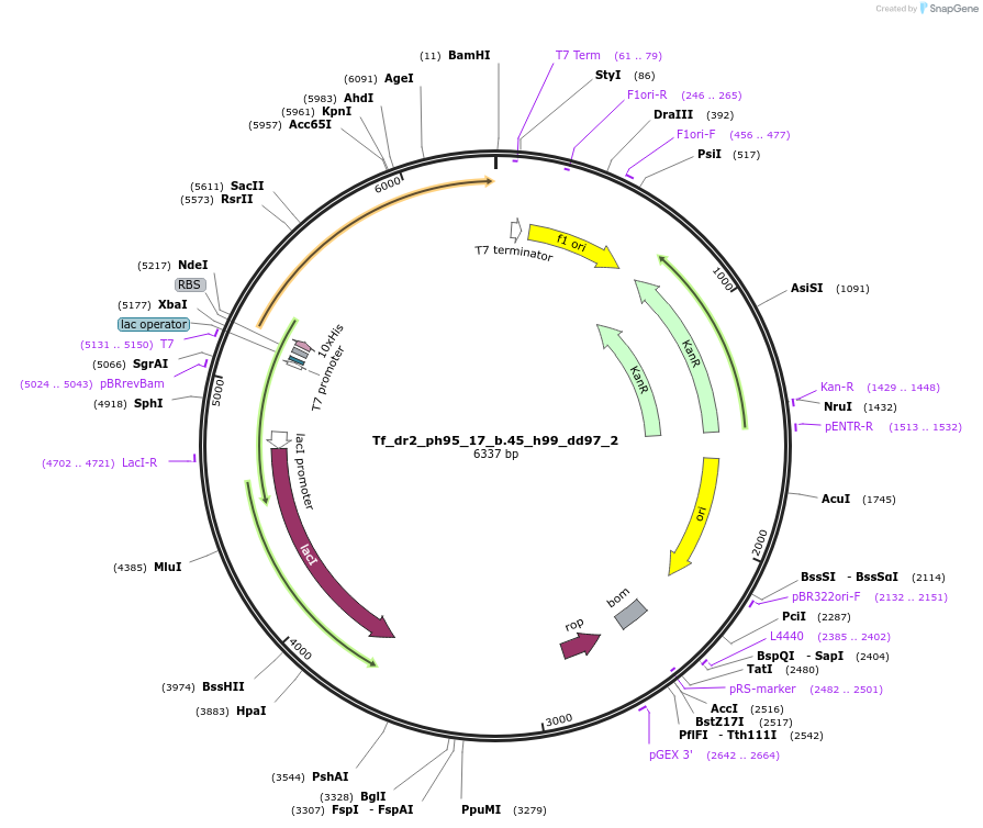 521352_map