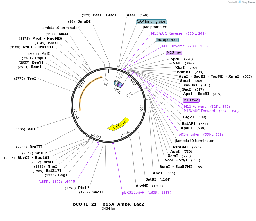 521385_map
