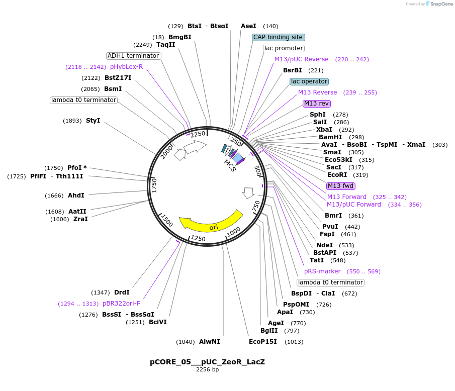 521395_map