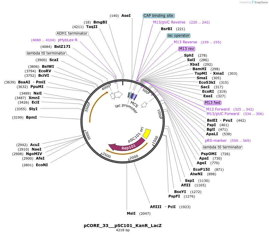 521400_map