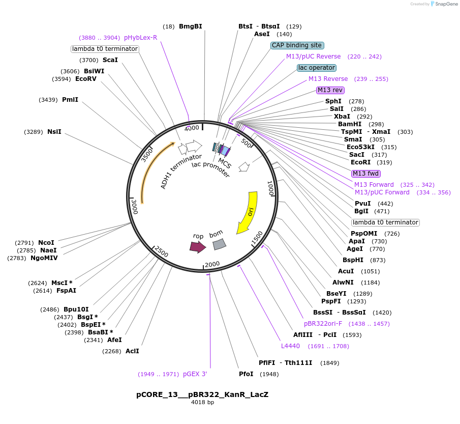 521401_map