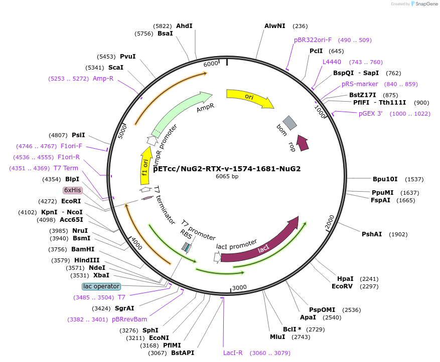 521601_map