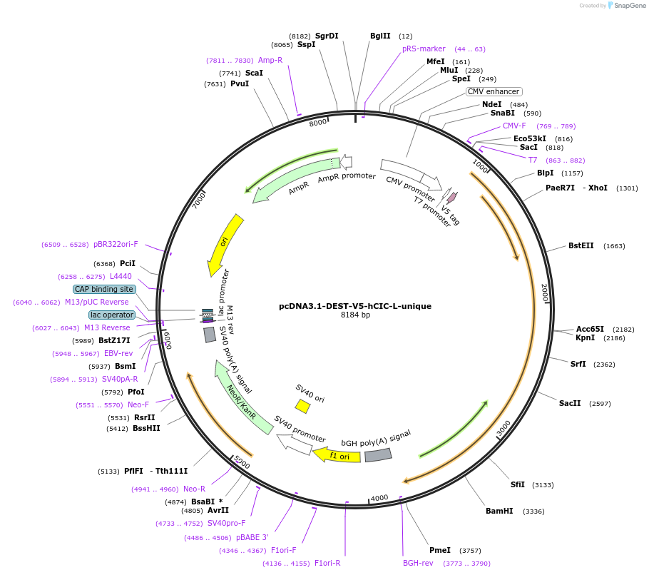 521720_map