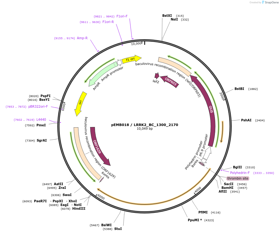 52174_map