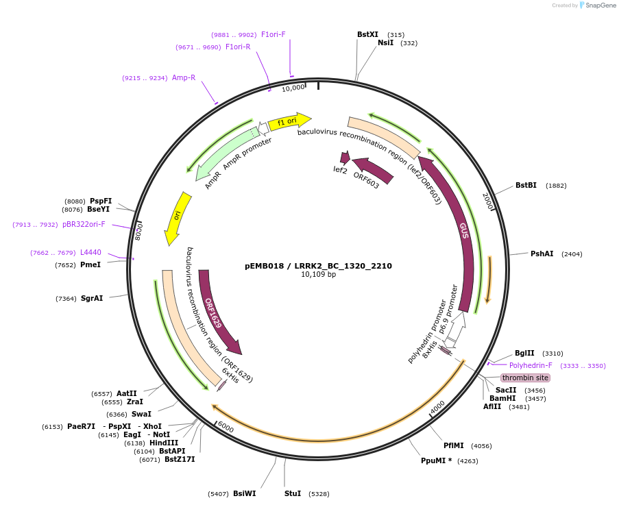 52180_map