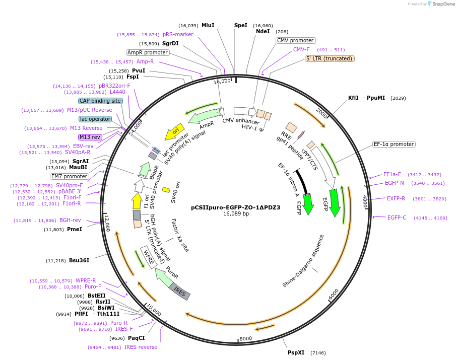 521819_map