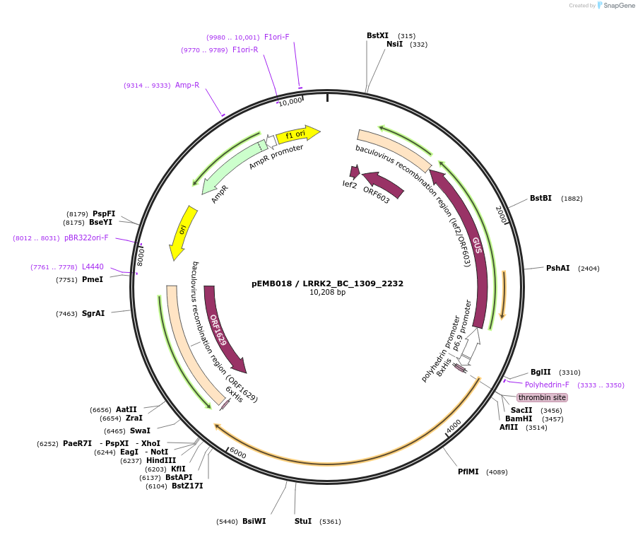 52199_map