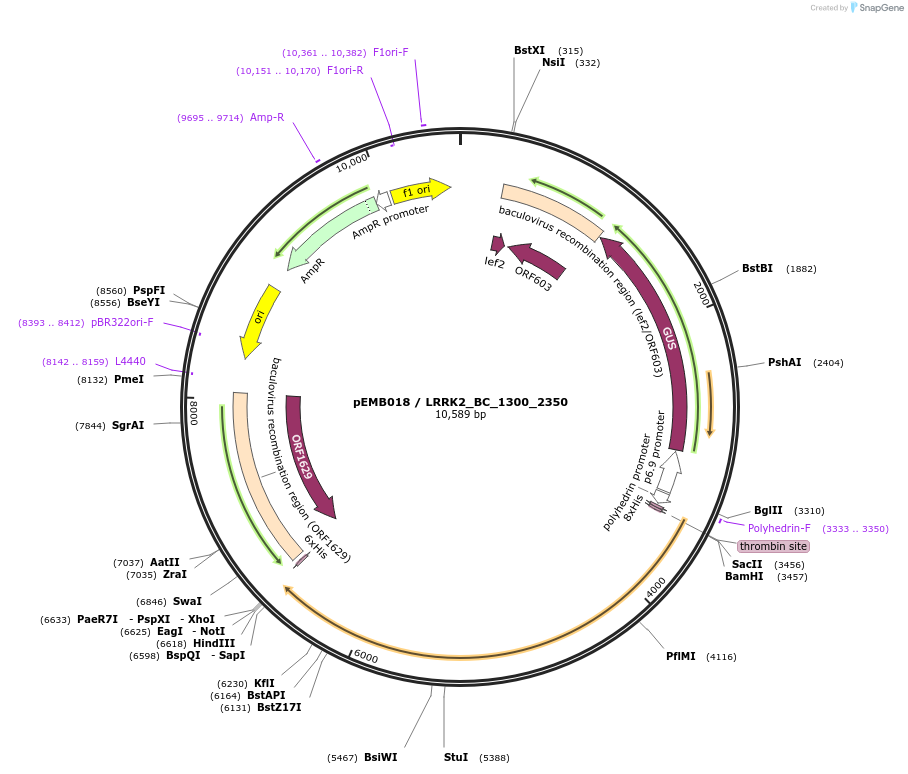 52201_map