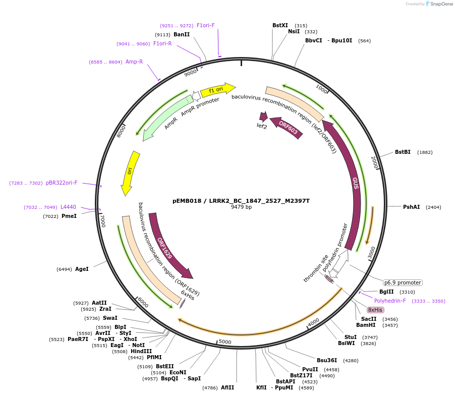 52209_map