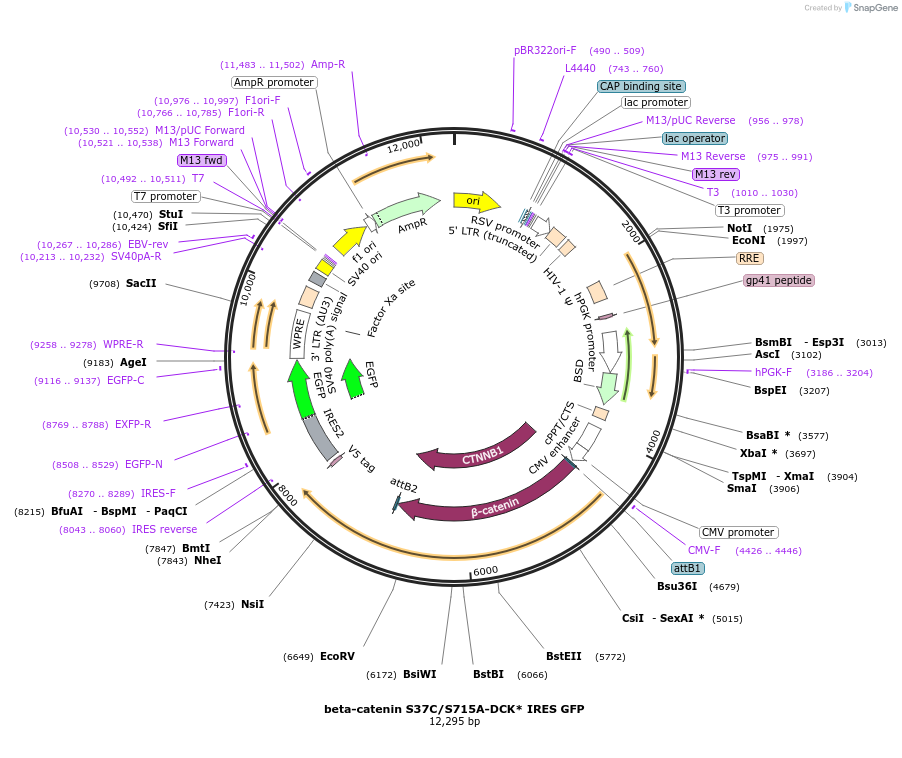 522113_map