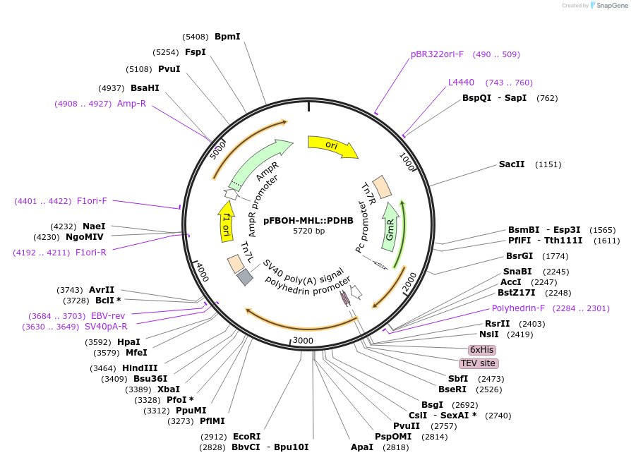 522337_map