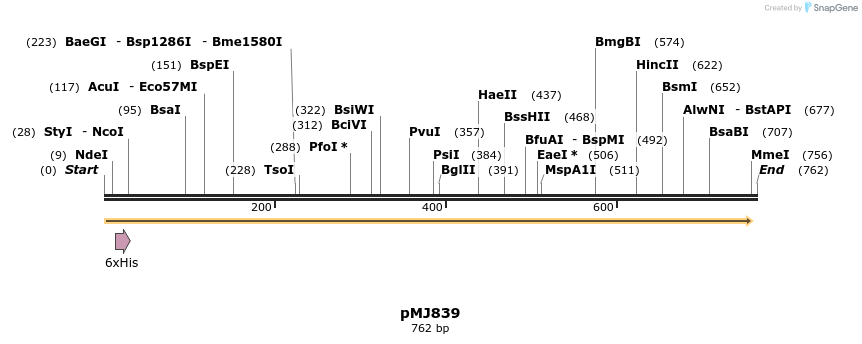 52242_map