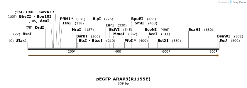 52244_map
