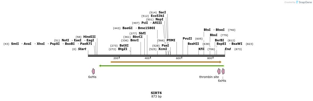 52249_map