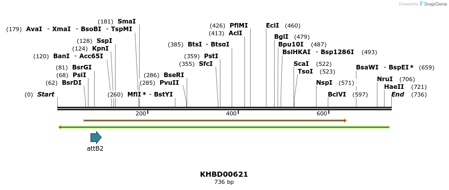 52250_map