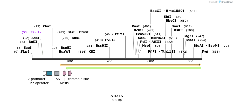52251_map