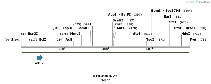52252_map