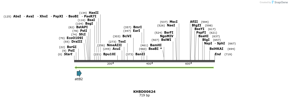 52253_map