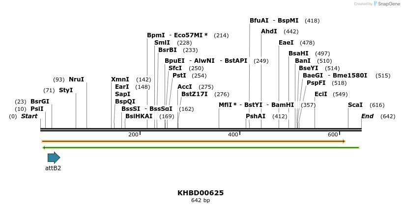 52255_map