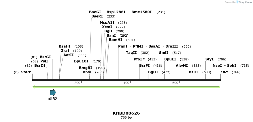52257_map