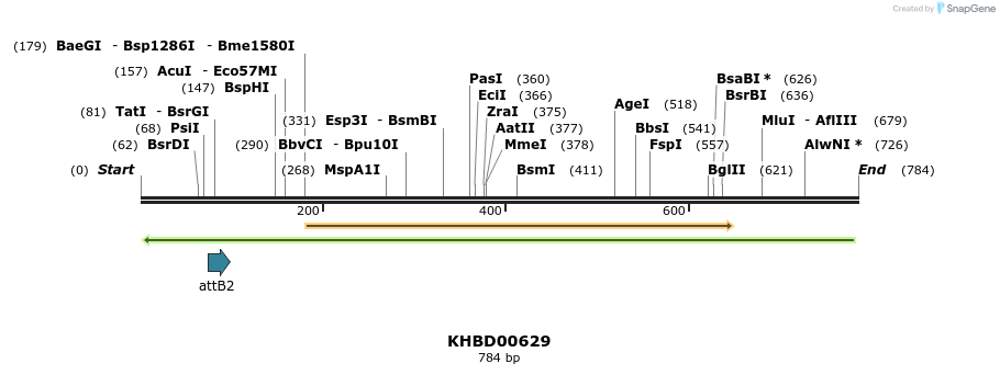 52262_map