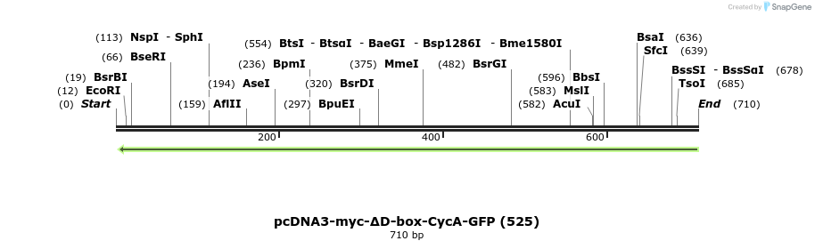 52263_map