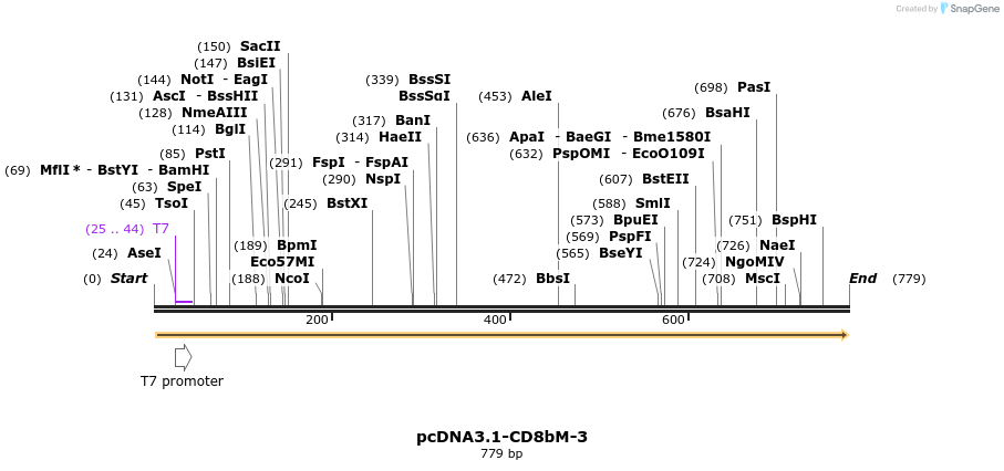 52266_map