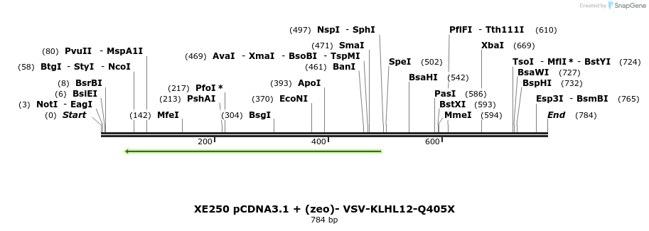 52267_map