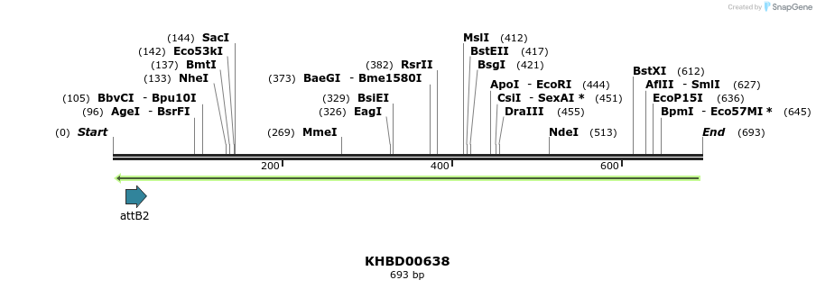 52269_map