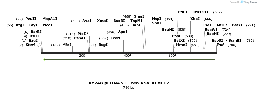 52270_map