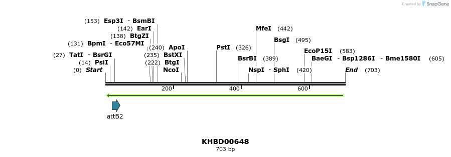 52273_map