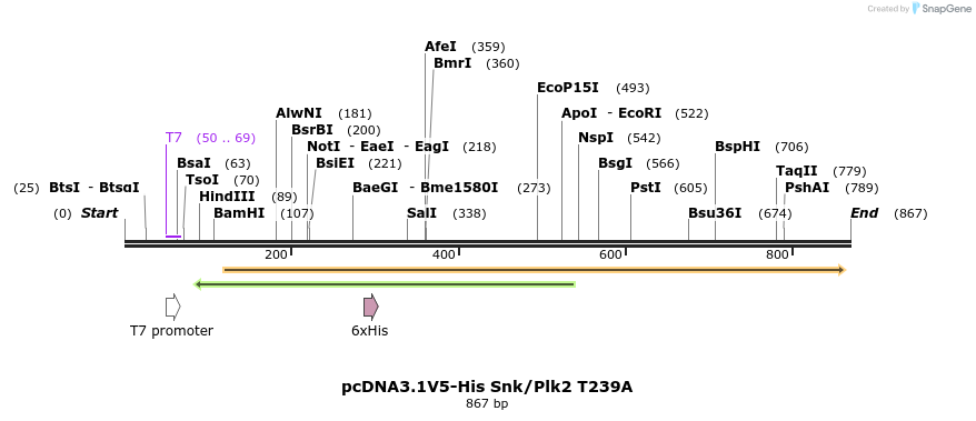 52276_map