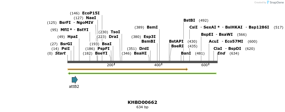 52279_map