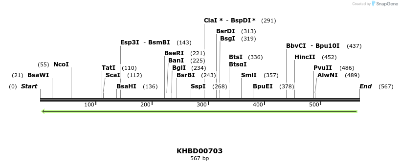 52280_map