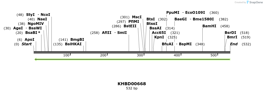 52285_map