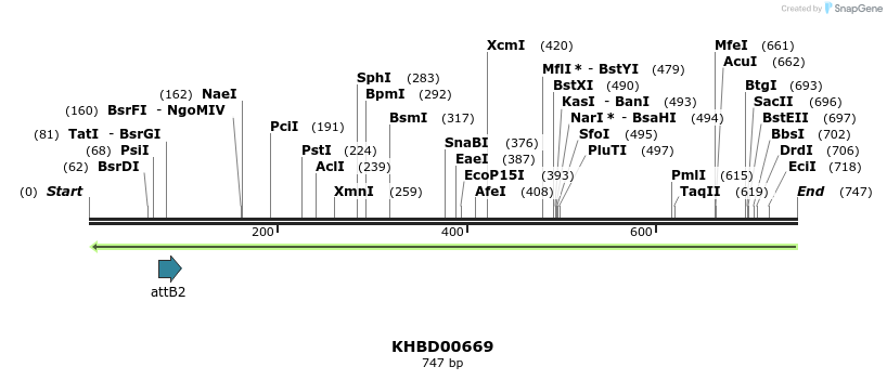 52286_map