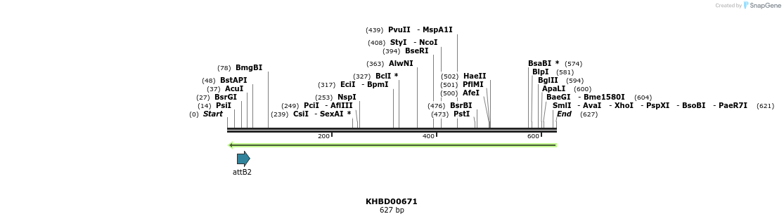52287_map