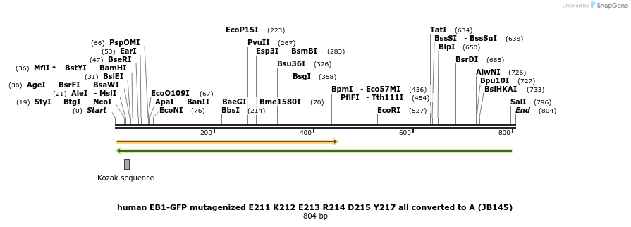 52291_map