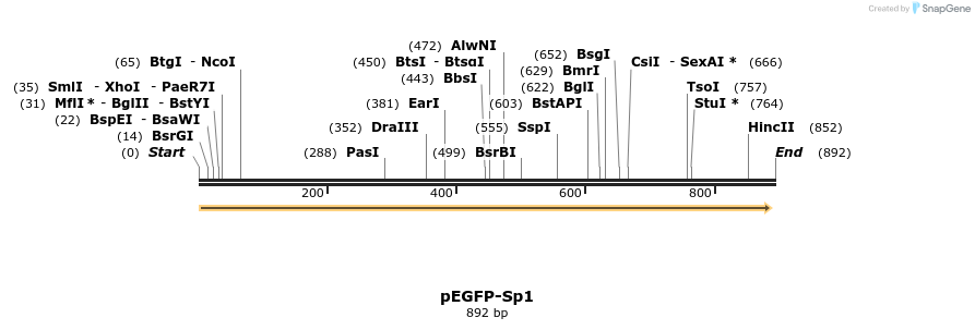 52292_map
